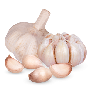 Dry Garlic
